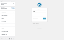 Page screenshot: Login Customizer → Customizer