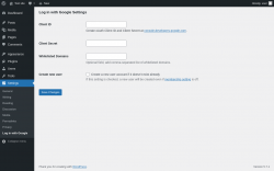 Page screenshot: Settings → Log in with Google