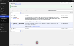Page screenshot: Plugins &lsaquo; Test site &mdash; WordPress