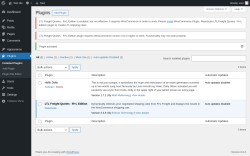Page screenshot: Plugins ‹ Test site — WordPress