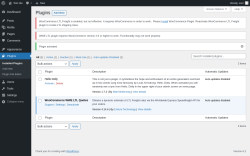 Page screenshot: Plugins &lsaquo; Test site &mdash; WordPress