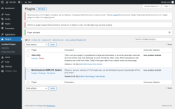 Page screenshot: Plugins &lsaquo; Test site &mdash; WordPress