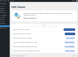 Page screenshot: LWS Cleaner