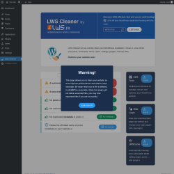 Page screenshot: LWS Cleaner