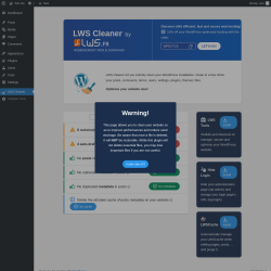 Page screenshot: LWS Cleaner
