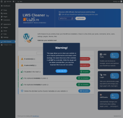 Page screenshot: LWS Cleaner