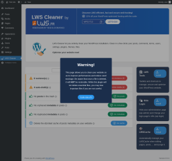 Page screenshot: LWS Cleaner