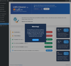 Page screenshot: LWS Cleaner