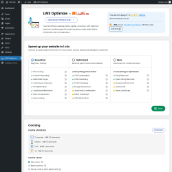 Page screenshot: LWS Optimize