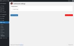 Page screenshot: Settings &rarr; LWSCache