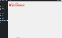 Page screenshot: LWSCache