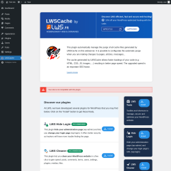 Page screenshot: LWSCache