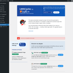 Page screenshot: LWSCache