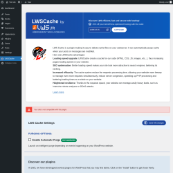 Page screenshot: LWSCache