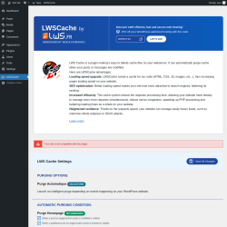 Page screenshot: LWSCache