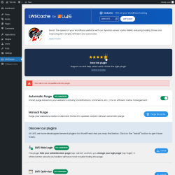 Page screenshot: LWSCache