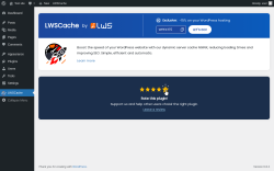 Page screenshot: LWSCache