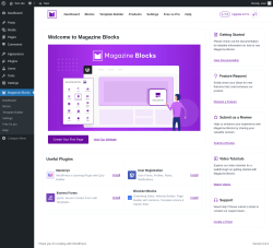 Page screenshot: Magazine Blocks
