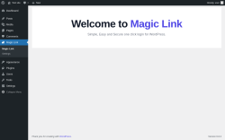 Page screenshot: Magic Link