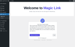 Page screenshot: Magic Link &lsaquo; Test site &mdash; WordPress