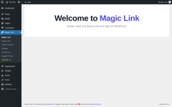 Page screenshot: Magic Link