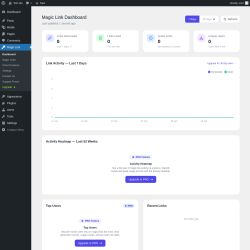Page screenshot: Magic Link
