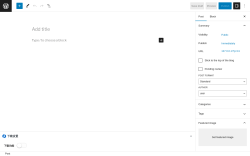 Page screenshot: Add New Post &lsaquo; Test site &mdash; WordPress