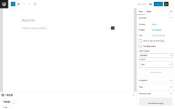 Page screenshot: Add New Post &lsaquo; Test site &mdash; WordPress