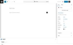 Page screenshot: Add New Post &lsaquo; Test site &mdash; WordPress