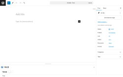 Page screenshot: Add New Post &lsaquo; Test site &mdash; WordPress