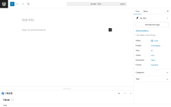 Page screenshot: Add Post &lsaquo; Test site &mdash; WordPress