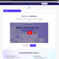 Page screenshot: Mail Mint - Setup Wizard