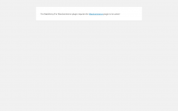 Page screenshot: WordPress › Error