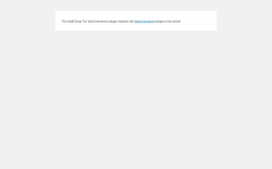 Page screenshot: WordPress › Error