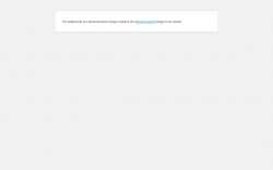 Page screenshot: WordPress › Error