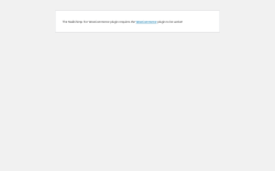 Page screenshot: WordPress › Error