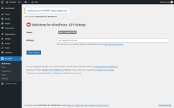 Page screenshot: MC4WP