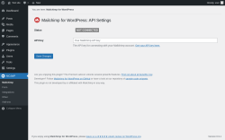 Page screenshot: MC4WP