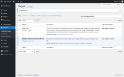 Page screenshot: Plugins &lsaquo; Test site &mdash; WordPress