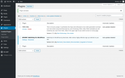 Page screenshot: Plugins &lsaquo; Test site &mdash; WordPress
