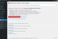 Page screenshot: MC4WP &rarr; Add-ons