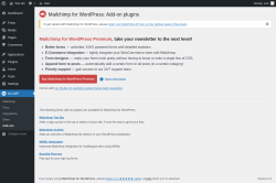 Page screenshot: MC4WP &rarr; Add-ons