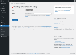 Page screenshot: MC4WP