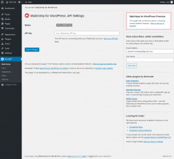Page screenshot: MC4WP