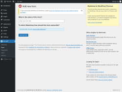 Page screenshot: MC4WP &rarr; Form