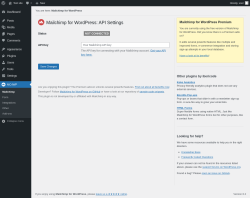 Page screenshot: MC4WP