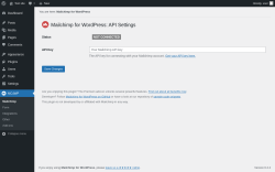 Page screenshot: MC4WP