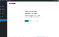 Page screenshot: Mailchimp