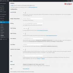 Page screenshot: Settings  &rarr; Mailgun