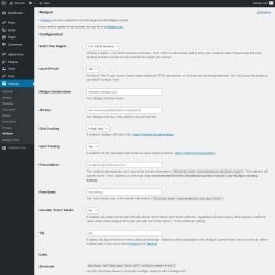 Page screenshot: Settings &rarr; Mailgun